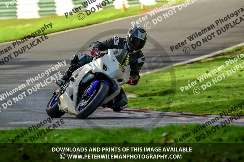 cadwell no limits trackday;cadwell park;cadwell park photographs;cadwell trackday photographs;enduro digital images;event digital images;eventdigitalimages;no limits trackdays;peter wileman photography;racing digital images;trackday digital images;trackday photos